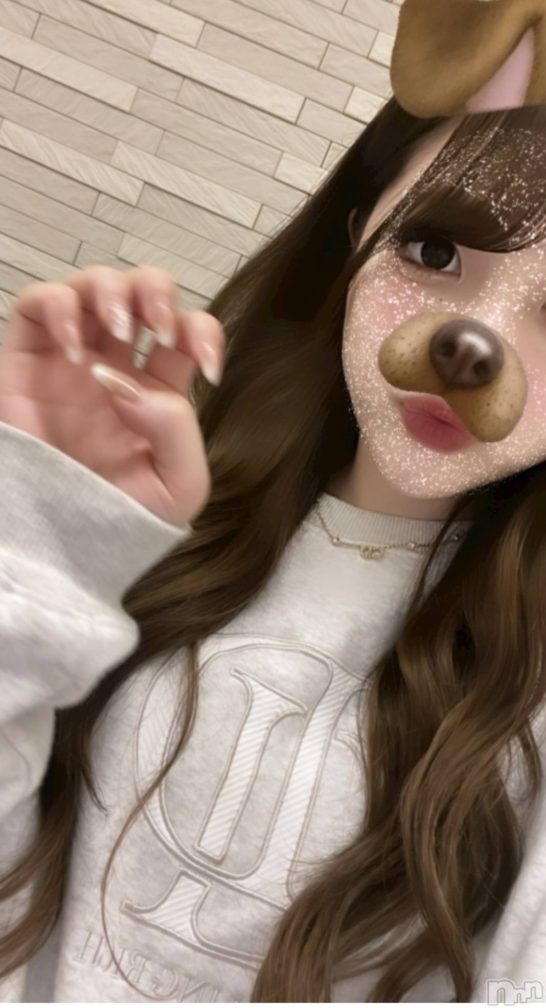 ���ܱ������ʥå��������륺�С�Girls bar Zenith(�����륺�С����˥�) ��2026ǯ1��10���̥�֥����֤Ȥ��դ����Τ�������- ̗̀ 🎂  ̖́-��