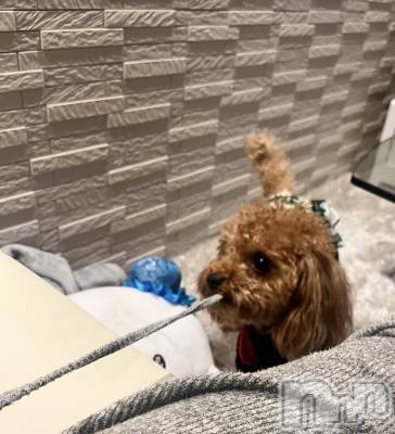 ܱʥå륺СGirls bar Zenith(륺С˥) ή (25)715̥֥֨🐕 ͗ ͗