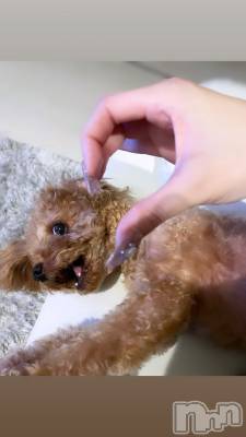 ܱʥå륺СGirls bar Zenith(륺С˥) ή (25)826̥֥🫶🏻︎🎀💘