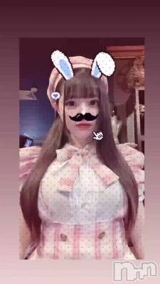 �󡼤����(⸝⸝› ⤙ ‹⸝⸝)