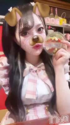 ᐢ.ˬ.ᐢ ♡