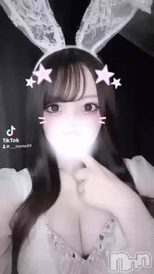 =^◦🎀^=