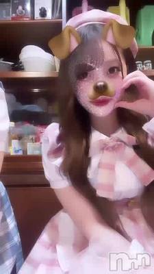(⸝⸝ɞ̴̶̷ ·̫ ‹⸝⸝ᐡ)~
