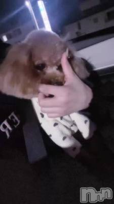 ٥🐕