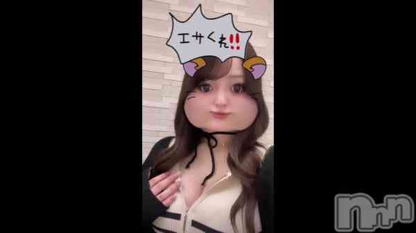֥( ^&#x1D55;^)