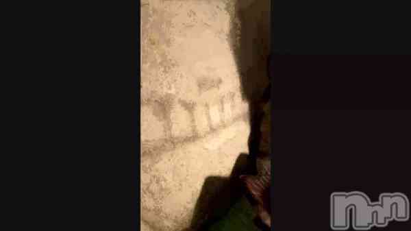 ��𓃠‪🐾��