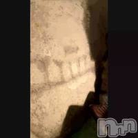 𓃠‪🐾