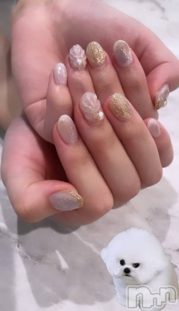 ܱʥå륺СGirls bar Zenith(륺С˥) ή 86̥֥8Υͥ🐚🫧🪼🫧🐬