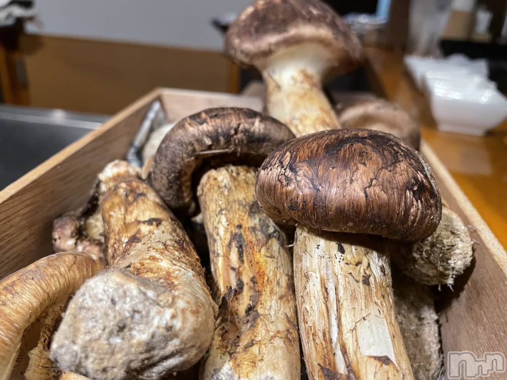 ܱʥå륺СGirls bar Zenith(륺С˥) ή 921̥֥־🍂̥࿐