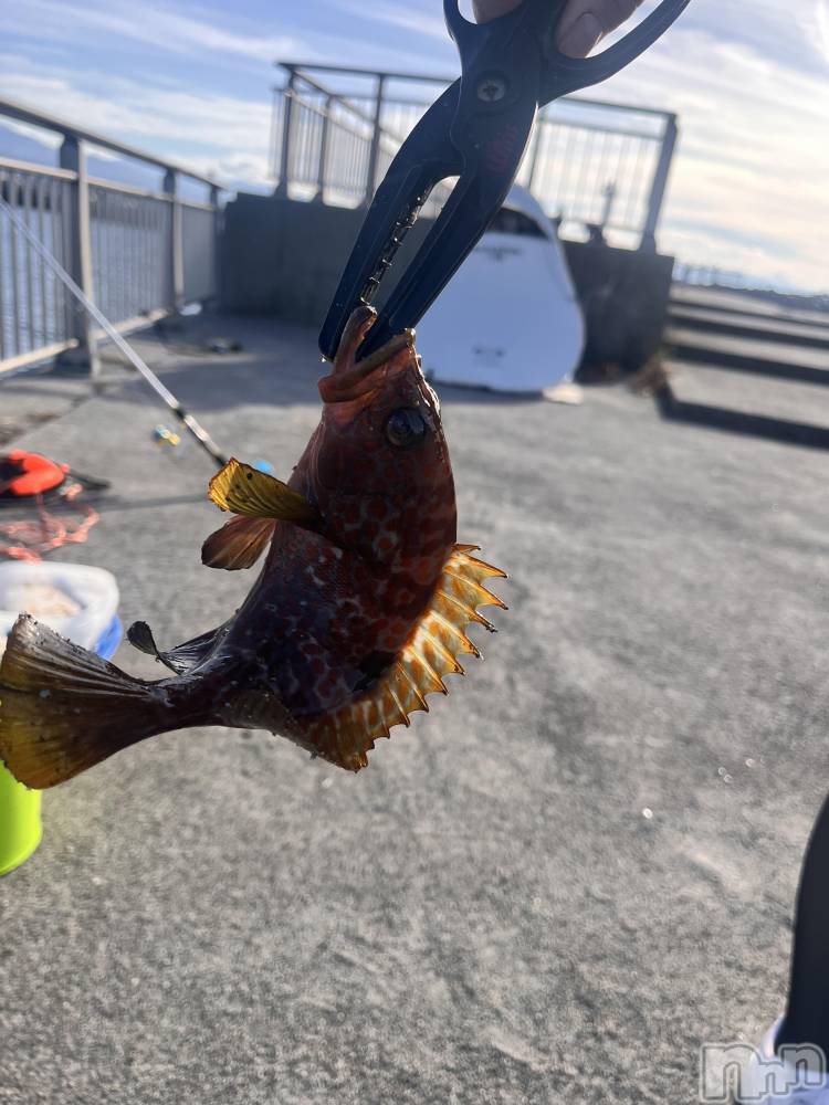 ܱʥå륺СGirls bar Zenith(륺С˥) ή 1111ֽ̥֥ε🐟‪🎣‬
