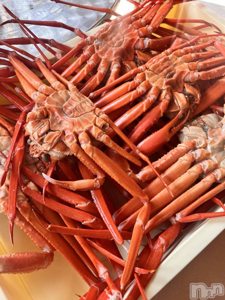 ܱʥå륺СGirls bar Zenith(륺С˥) ή 104̥֥🫶🏻🦀👏🦀