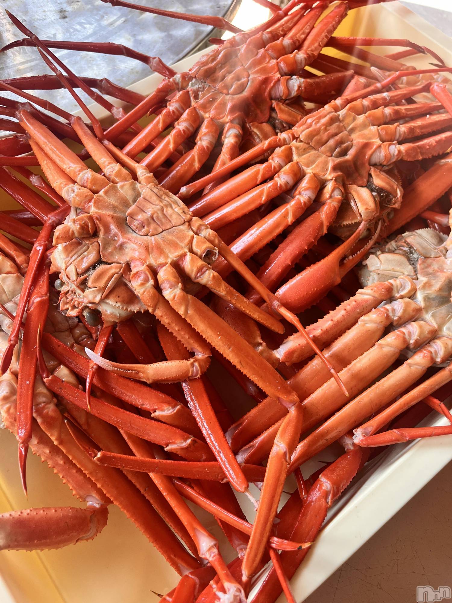 ܱʥå륺СGirls bar Zenith(륺С˥) 2025ǯ104̥֥🫶🏻🦀👏🦀