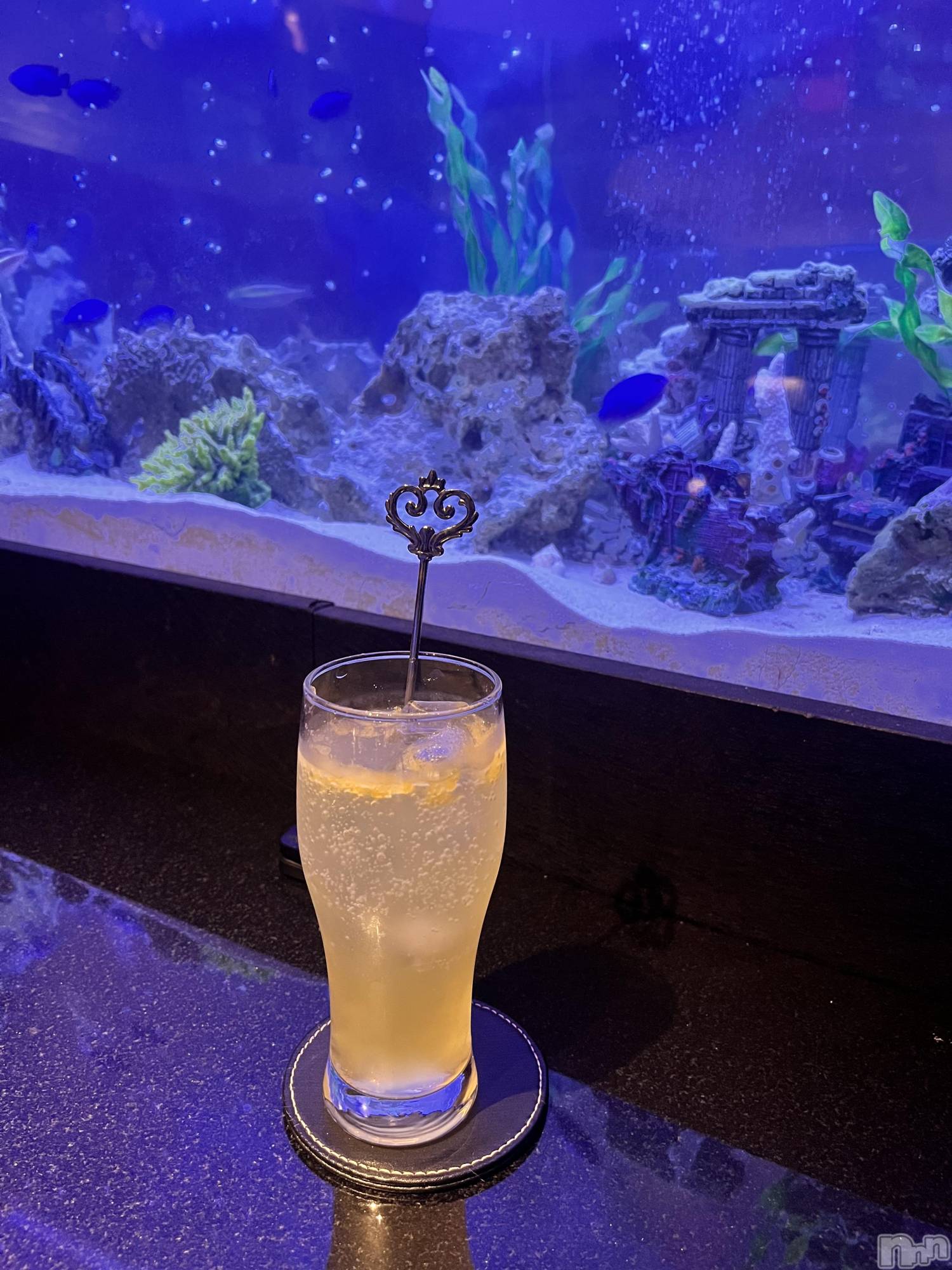 ܱʥå륺СGirls bar Zenith(륺С˥) 2025ǯ109̥֥🐠‪ 𓈒𓏸