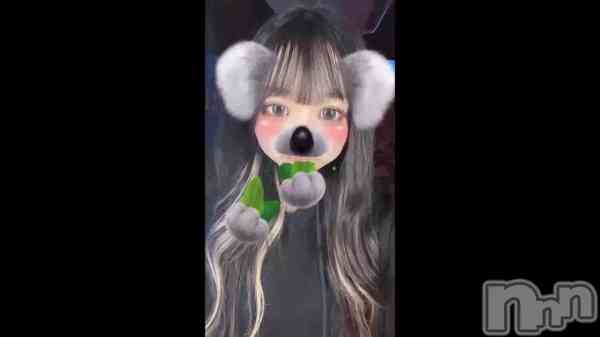 &#x1F428;&#x1F33F;