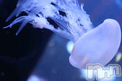 ĮХ顦lounge  Remika(饦󥸥ߥ) ߤ919ֽ̥֥ƤΥ֥