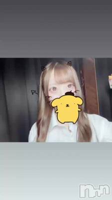 ޤä🐬🌻