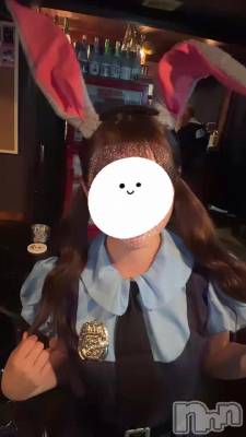 🐰🚓🚨