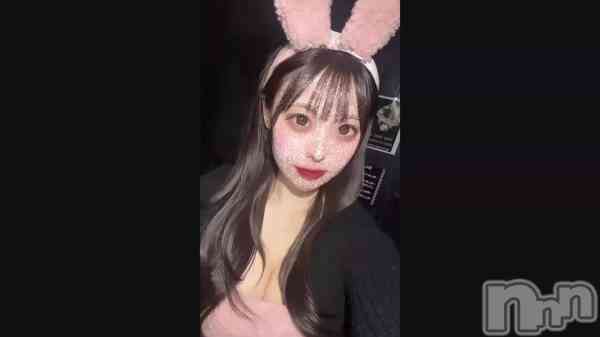 ֤&#x1F430;