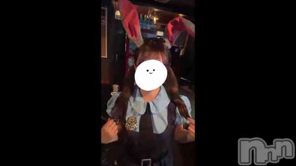 &#x1F430;&#x1F693;&#x1F6A8;