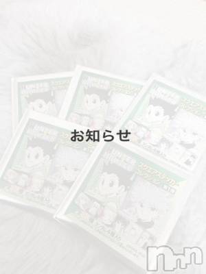 長岡デリヘル 長岡市総合デリヘル COLOR～デリヘル・手コキ・密着エステ～(ナガオカシソウゴウデリヘルカラー) よい(26)の3月29日写メブログ「出勤予定変更のお知らせ🙇🏻‍♀️」