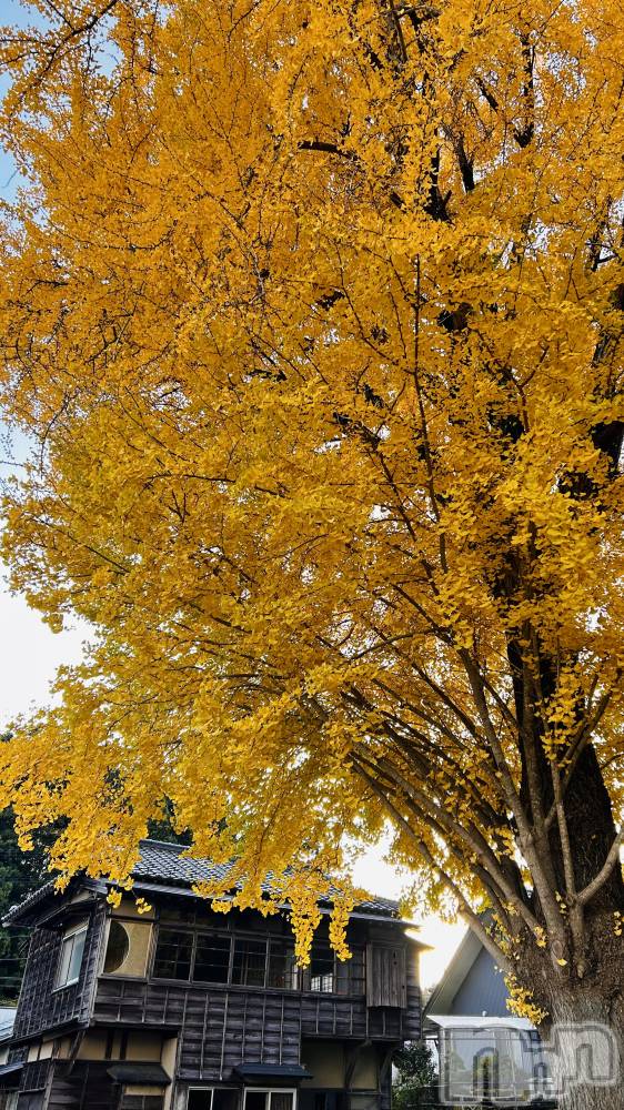 ʥå륺СʥåBar Peace(ʥåС ԡ) 椦121̥֥֤⤦Ǥ🙄