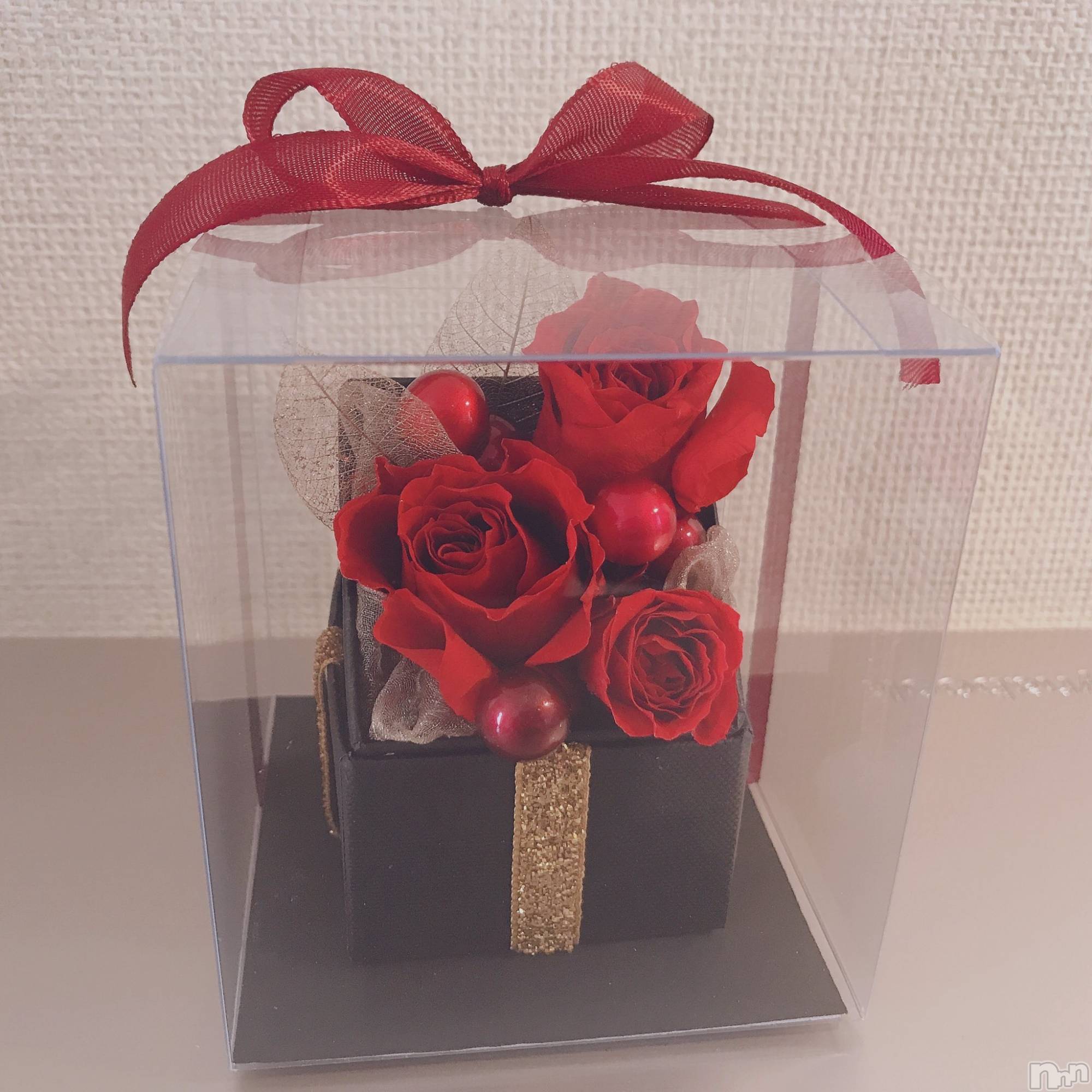 ʥå륺СʥåBar Peace(ʥåС ԡ) 2023ǯ127̥֥֤ää🌹✨