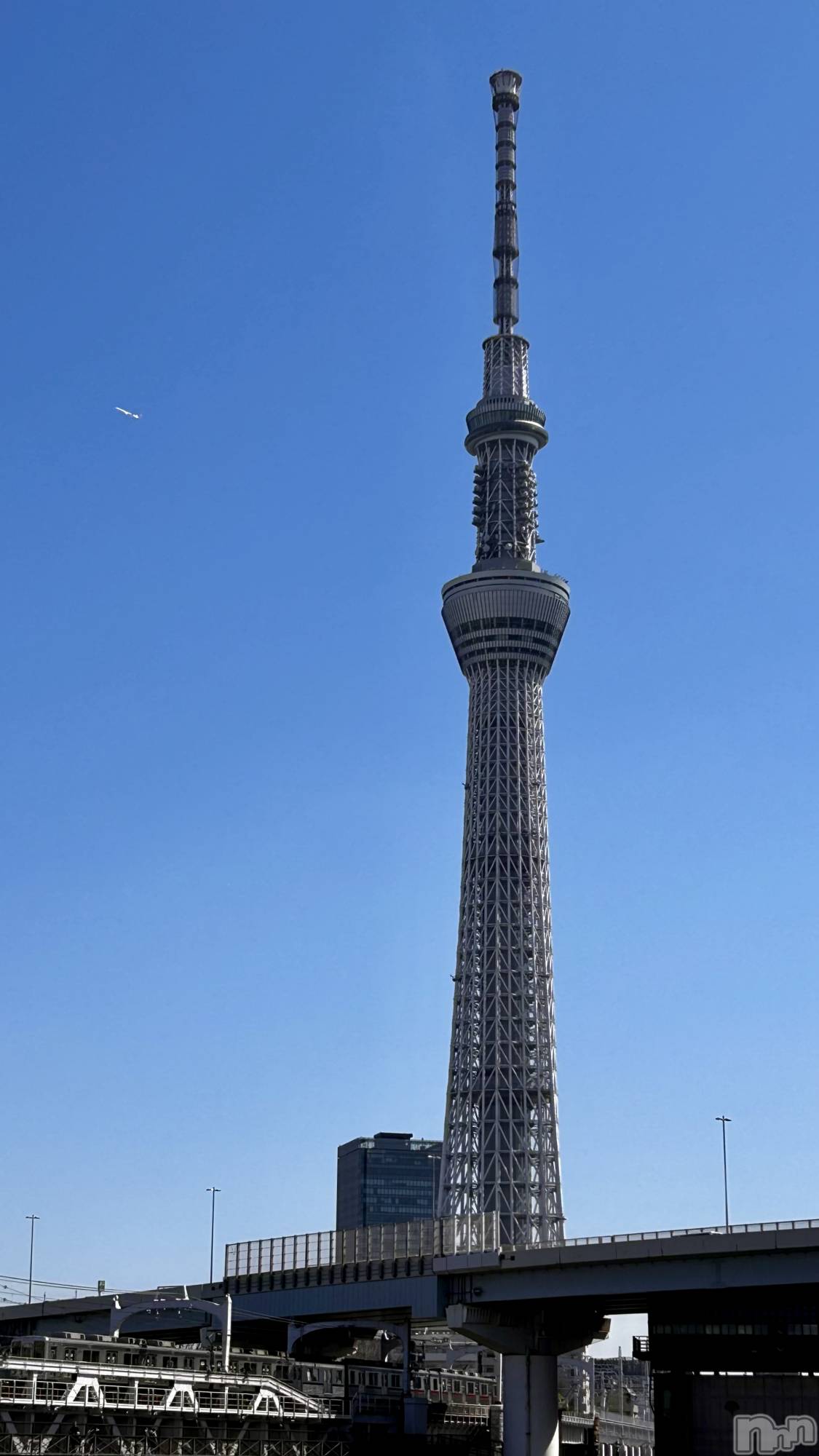 ����������ʥå��������륺�С����ʥå�Bar Peace(���ʥå��С� �ԡ���) ��2026ǯ3��20���̥�֥����֥������ᤪ��🍚��