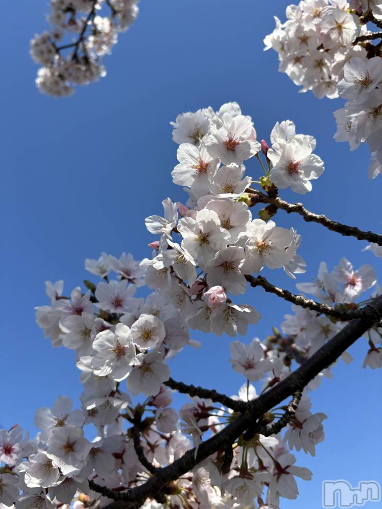 Х顦GRAND ROUGE(롼) 412̥֥🌸🌸🌸