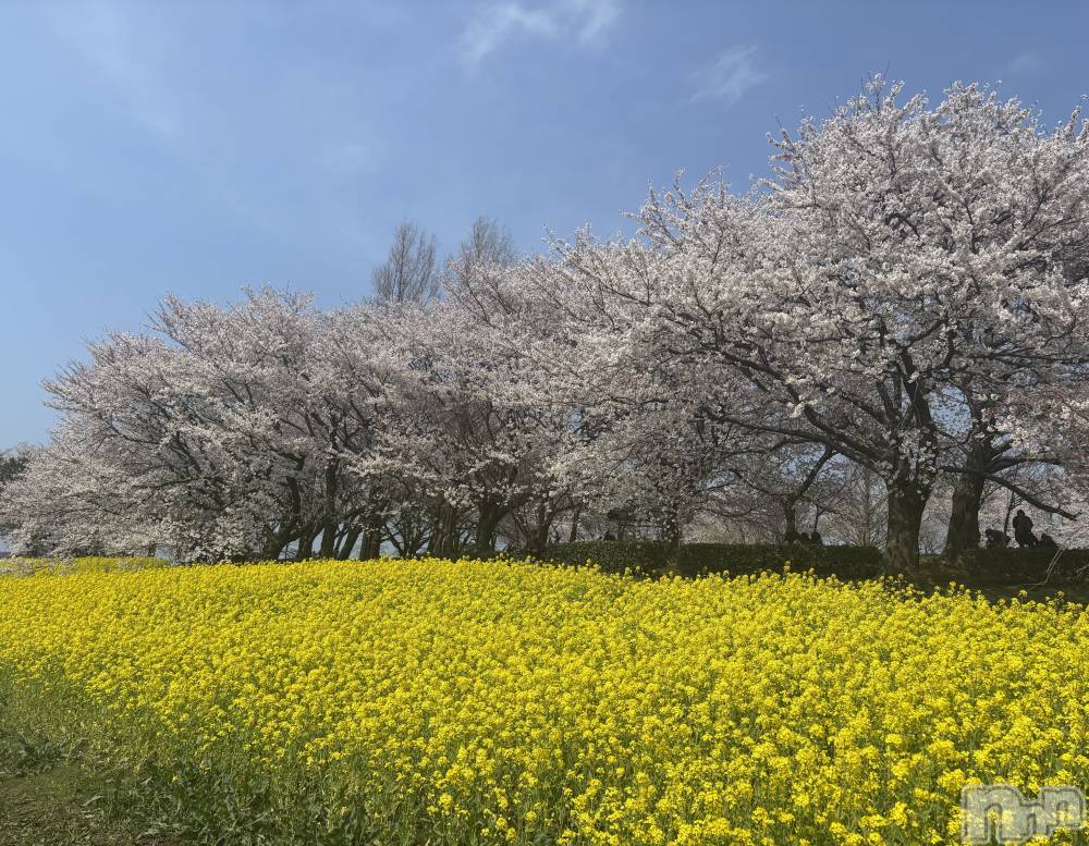 Х顦LIT CLUB(åȥ) 413̥֥֥🌸
