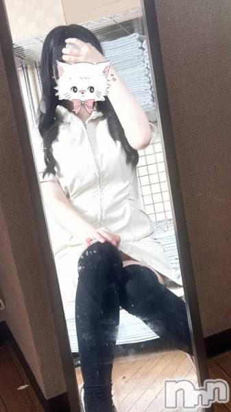 㡦ȯĥꥢ󥺥Levre(졼֥)  2025ǯ313̥֥313()ΥԥȤϤ♡