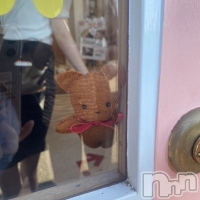 Įʥå륺С KCALB() ۤ922̥֥🧸