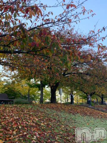 新潟デリヘル五十路マダム新潟店(カサブランカグループ)(イソジマダムニイガタテン) 坂井まこと(53)の11月3日写メブログ「今日は！！」