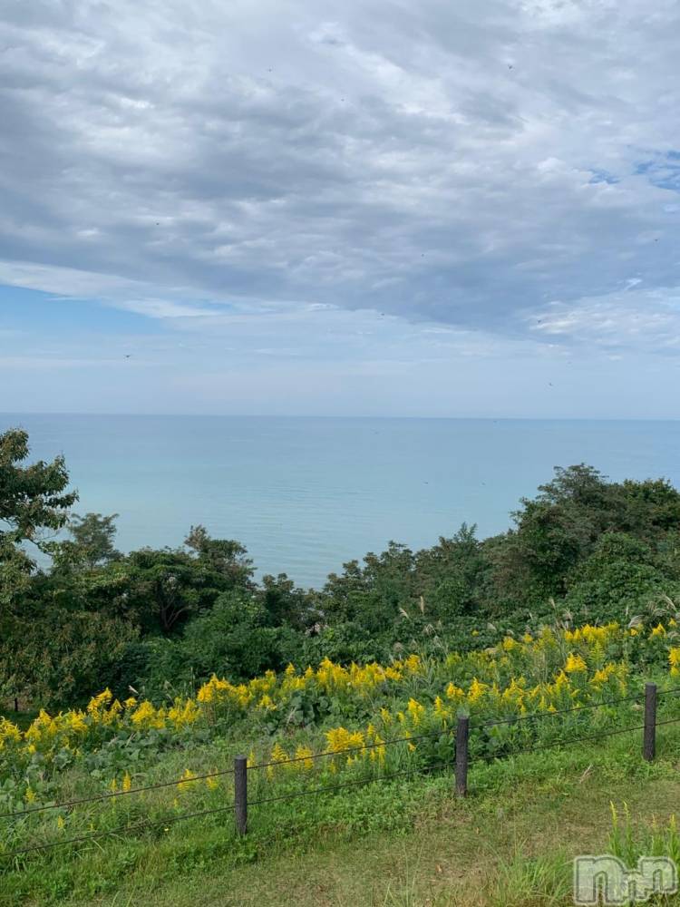 新潟デリヘル五十路マダム新潟店(カサブランカグループ)(イソジマダムニイガタテン) 坂井まこと(53)の10月19日写メブログ「おはようございます。」