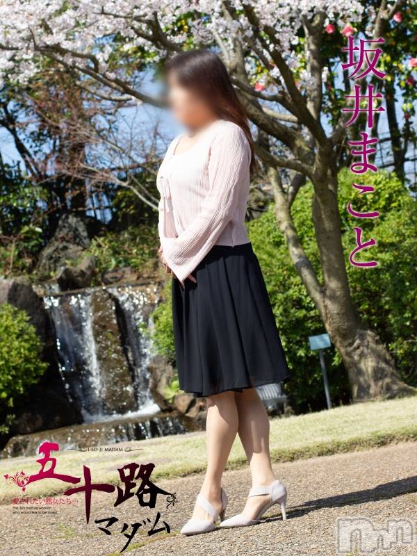 坂井まこと