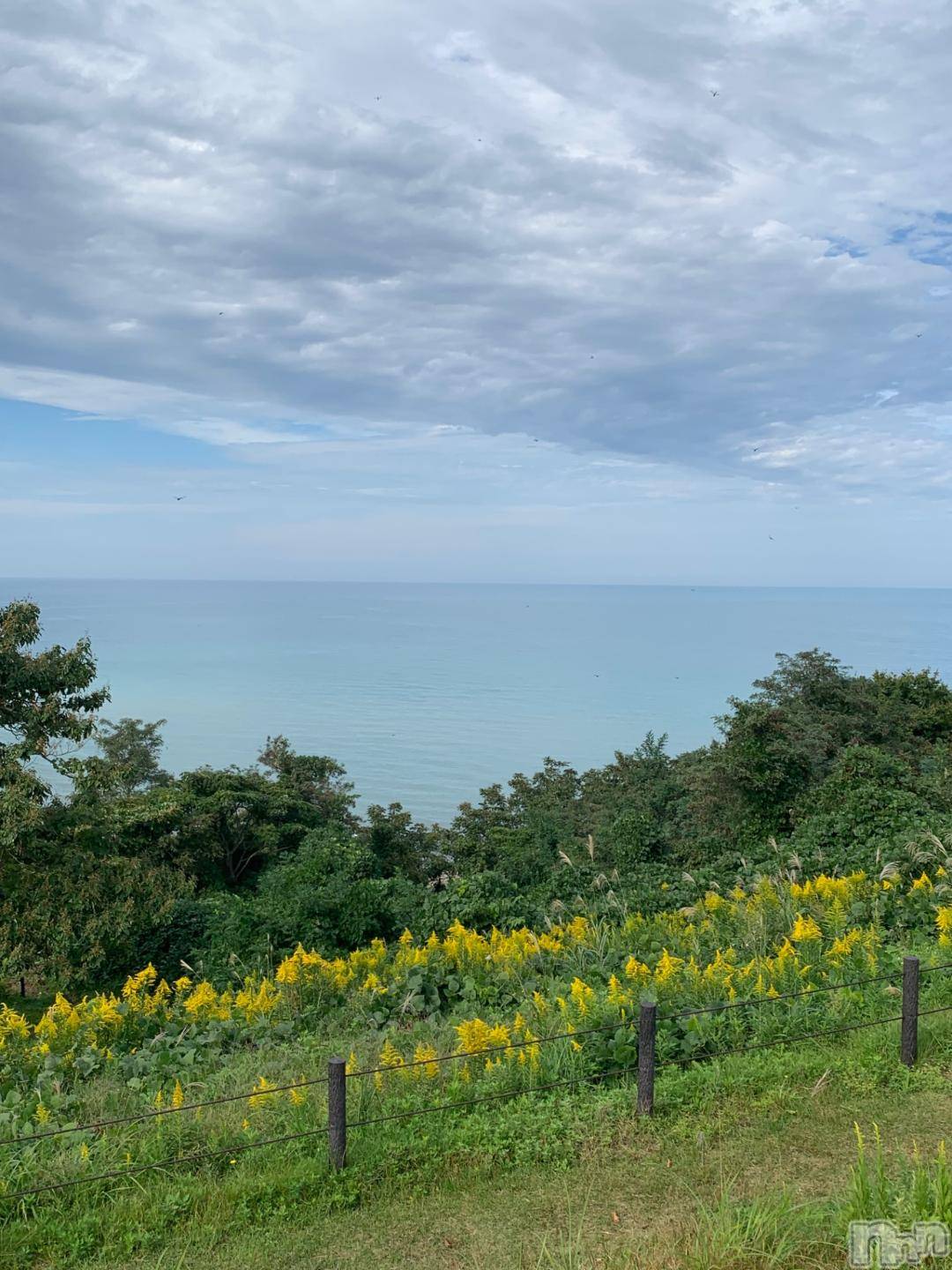 新潟デリヘル五十路マダム新潟店(カサブランカグループ)(イソジマダムニイガタテン)坂井まこと(53)の2024年10月19日写メブログ「おはようございます。」