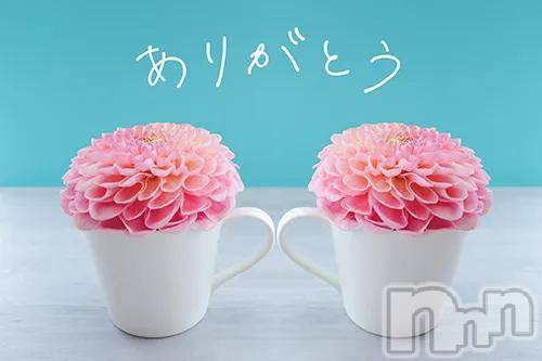 新潟デリヘル五十路マダム新潟店(カサブランカグループ)(イソジマダムニイガタテン)坂井まこと(53)の2026年5月5日写メブログ「Yさまお礼」