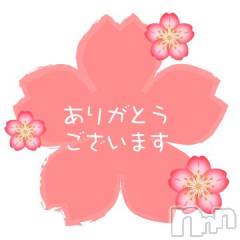 新潟デリヘル五十路マダム新潟店(カサブランカグループ)(イソジマダムニイガタテン) 坂井まこと(53)の3月24日写メブログ「こんばんは」
