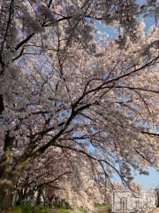 新潟デリヘル五十路マダム新潟店(カサブランカグループ)(イソジマダムニイガタテン) 坂井まこと(53)の4月13日写メブログ「ありがとう」