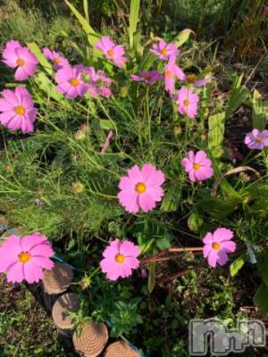 新潟デリヘル 五十路マダム新潟店(カサブランカグループ)(イソジマダムニイガタテン) 坂井まこと(53)の10月16日写メブログ「今日は」