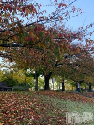 新潟デリヘル 五十路マダム新潟店(カサブランカグループ)(イソジマダムニイガタテン) 坂井まこと(53)の11月3日写メブログ「今日は！！」