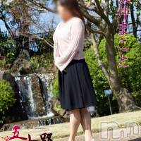 坂井まこと