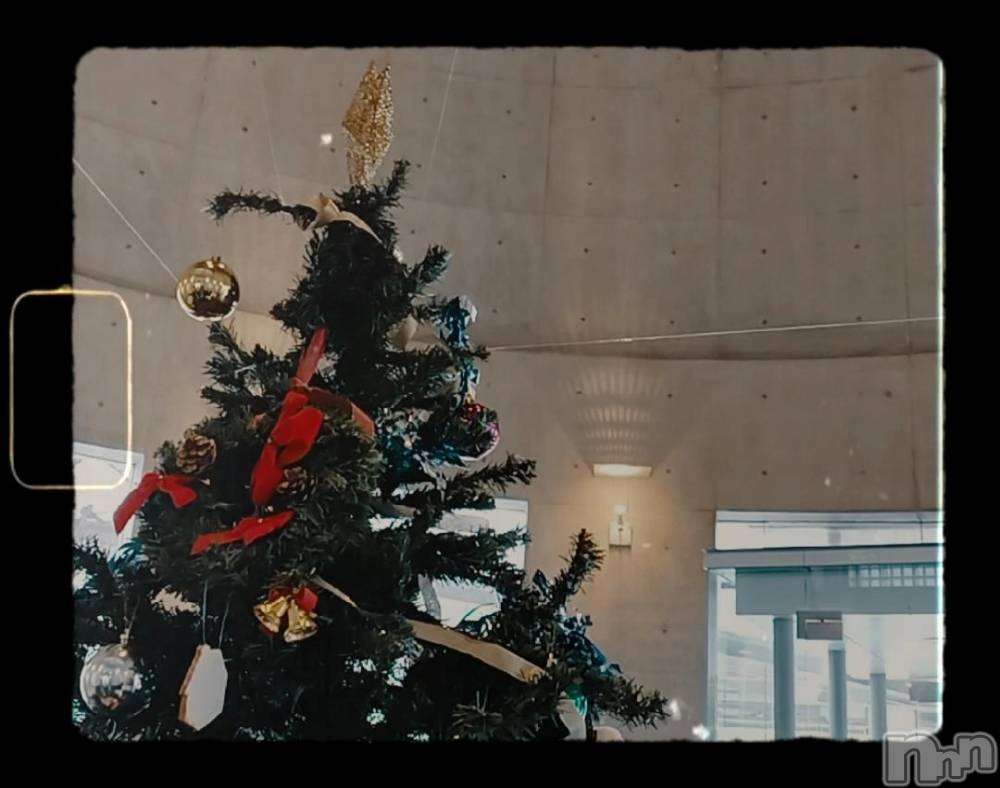 Įʥå륺СL'asile(饸) 1225̥֥🎅🎄✨