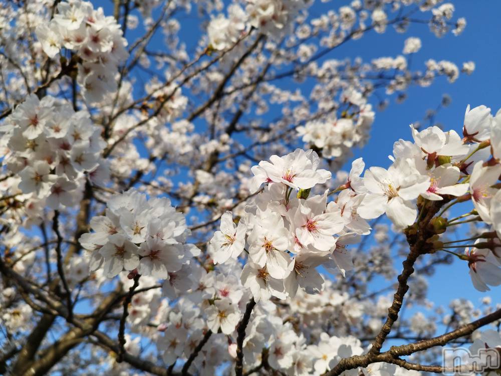 Įʥå륺СL'asile(饸) 416̥֥🌸