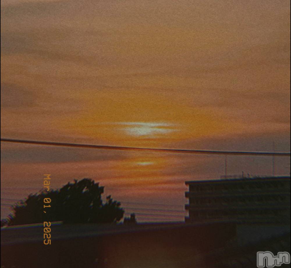 Įʥå륺СL'asile(饸) 31̥֥֤ʤĹ🥲