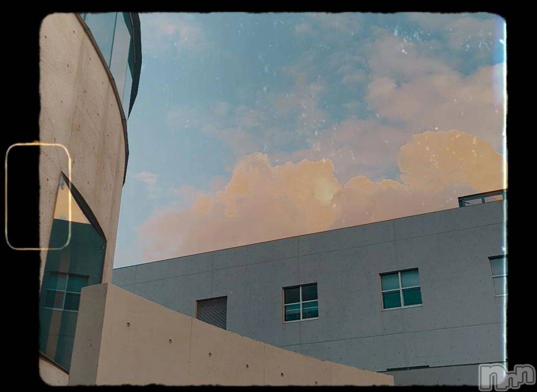 Įʥå륺СL'asile(饸) 2024ǯ817̥֥🤍🩵🩷🤍