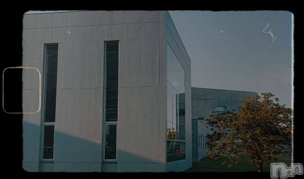 Įʥå륺СL'asile(饸) 2024ǯ830̥֥🔷🔷