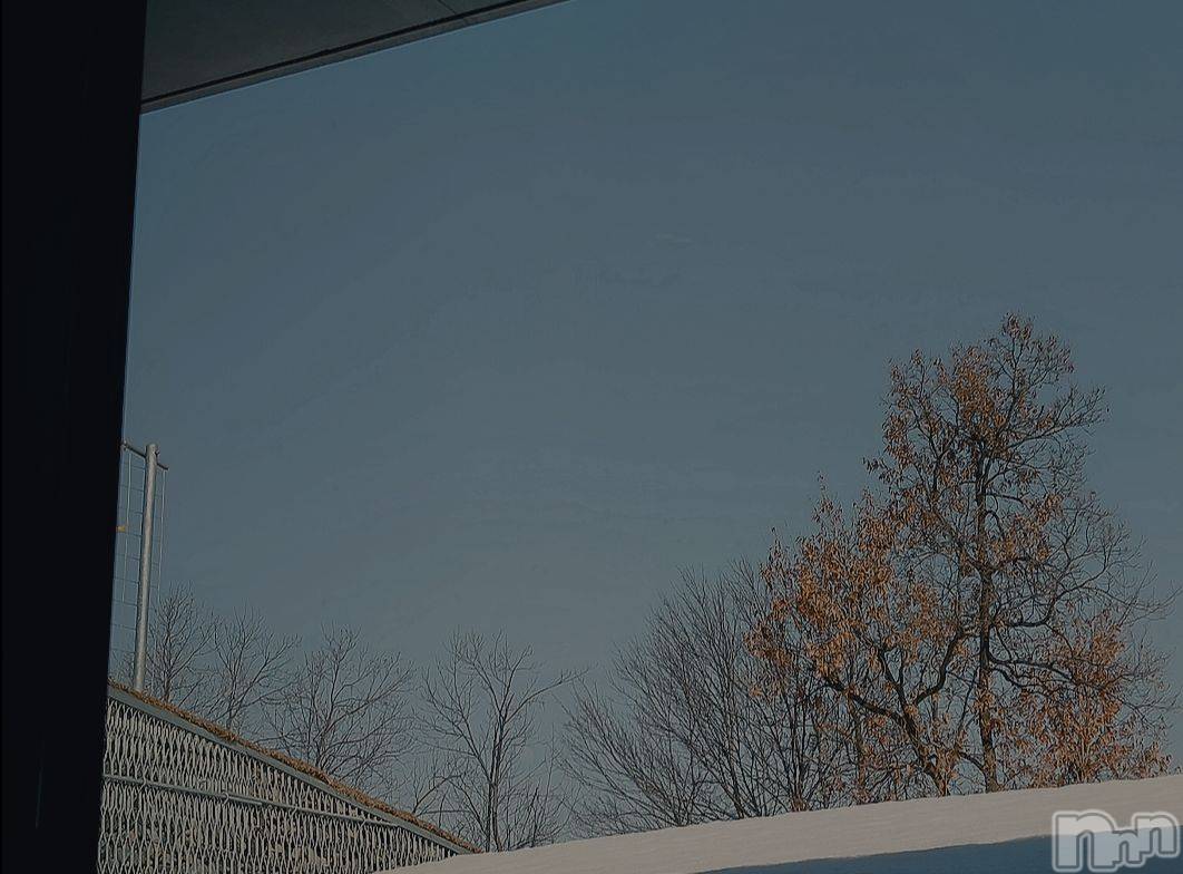 Įʥå륺СL'asile(饸) 2025ǯ311ֺ̥֥Ǹ塪