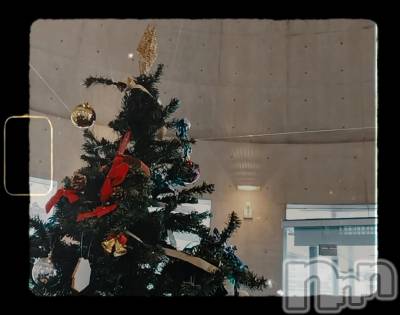 Įʥå륺СL'asile(饸) 1225̥֥🎅🎄✨