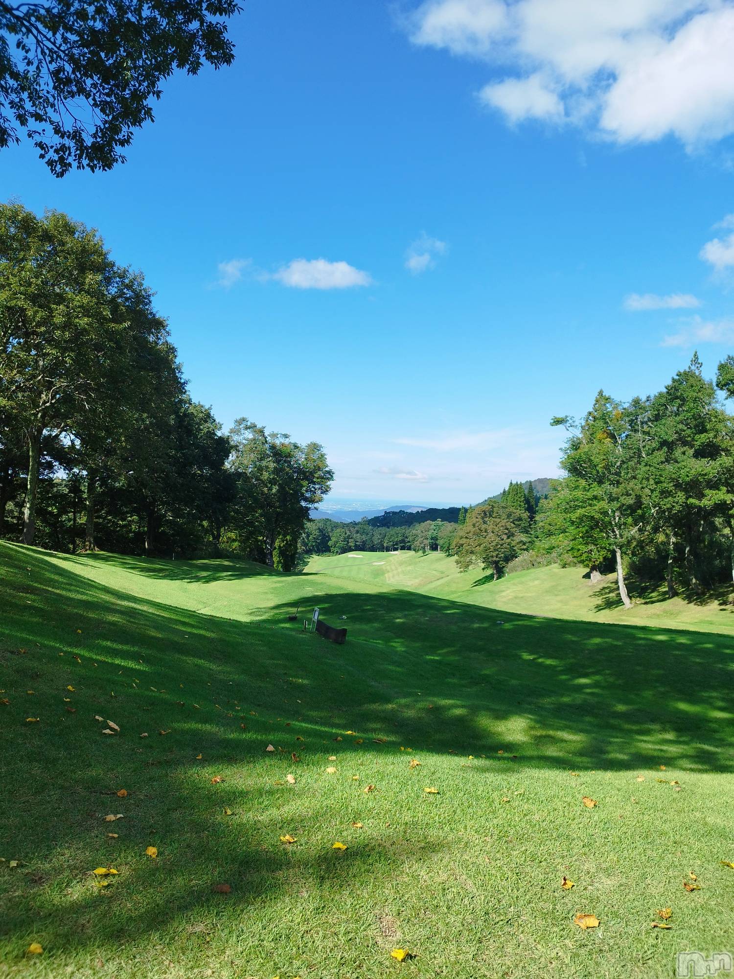 Ʋʥå륺СLOUNGE ICHI (饦󥸥) 2024ǯ1010̥֥10.10⛳️