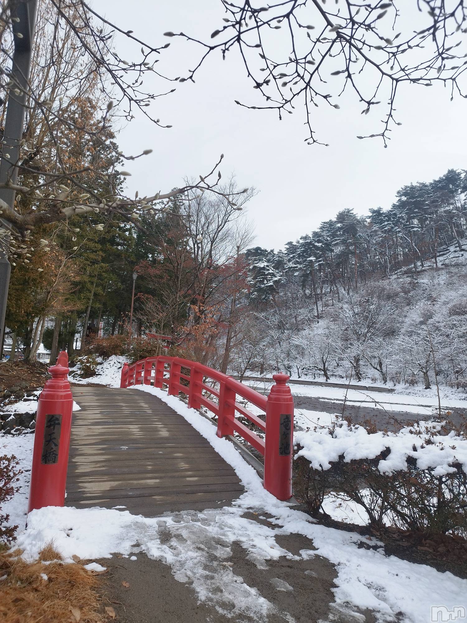 Ʋʥå륺СLOUNGE ICHI (饦󥸥) 2024ǯ1221̥֥12.21❄️